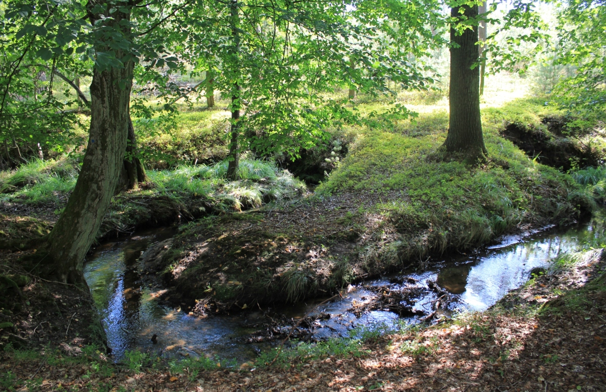 Kleiner Bachlauf
