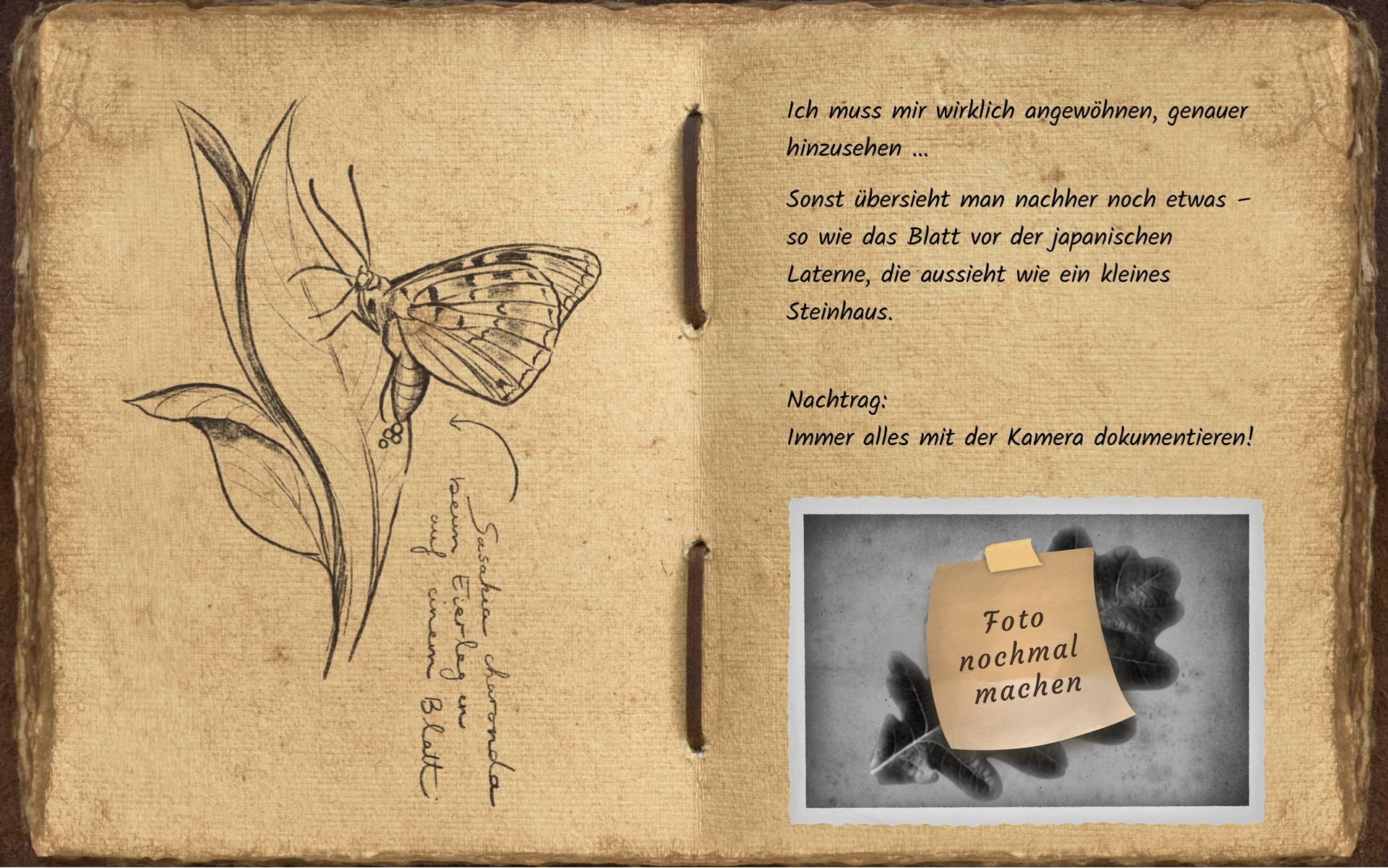 Screen mit Lucias Notizbuch Screen mit Lucias Notizbuch