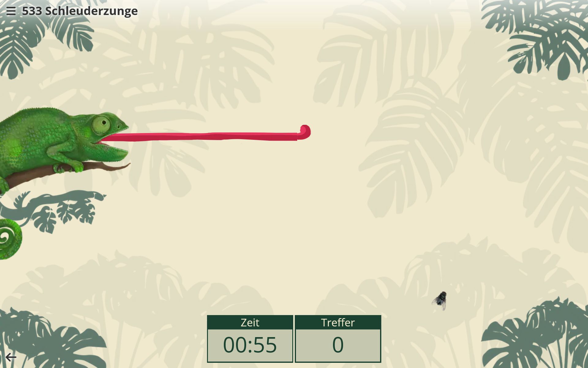 Screen Spiel Fliegen fangen Screen Spiel Fliegen fangen