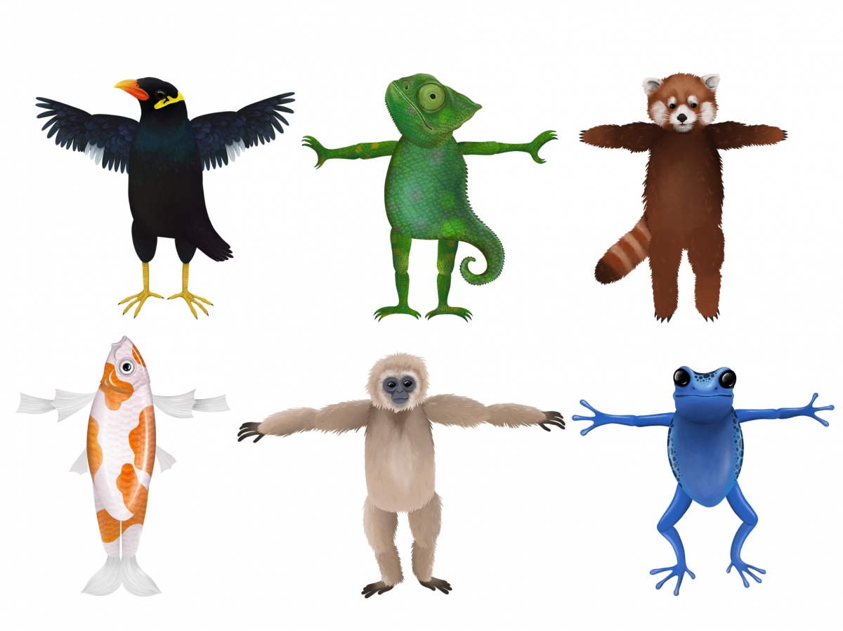 Tier-Figuren Tier-Figuren