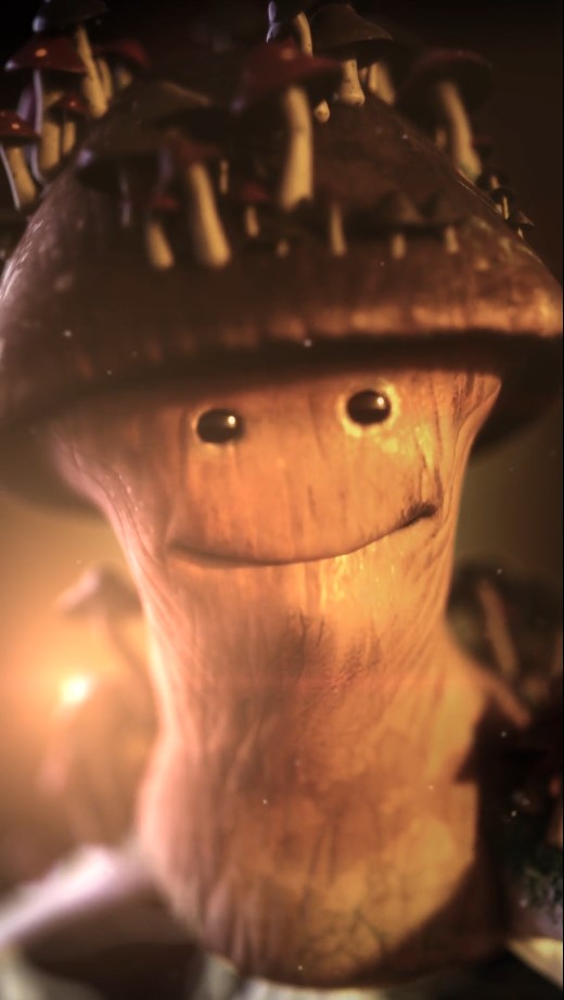 Pilz Pilz