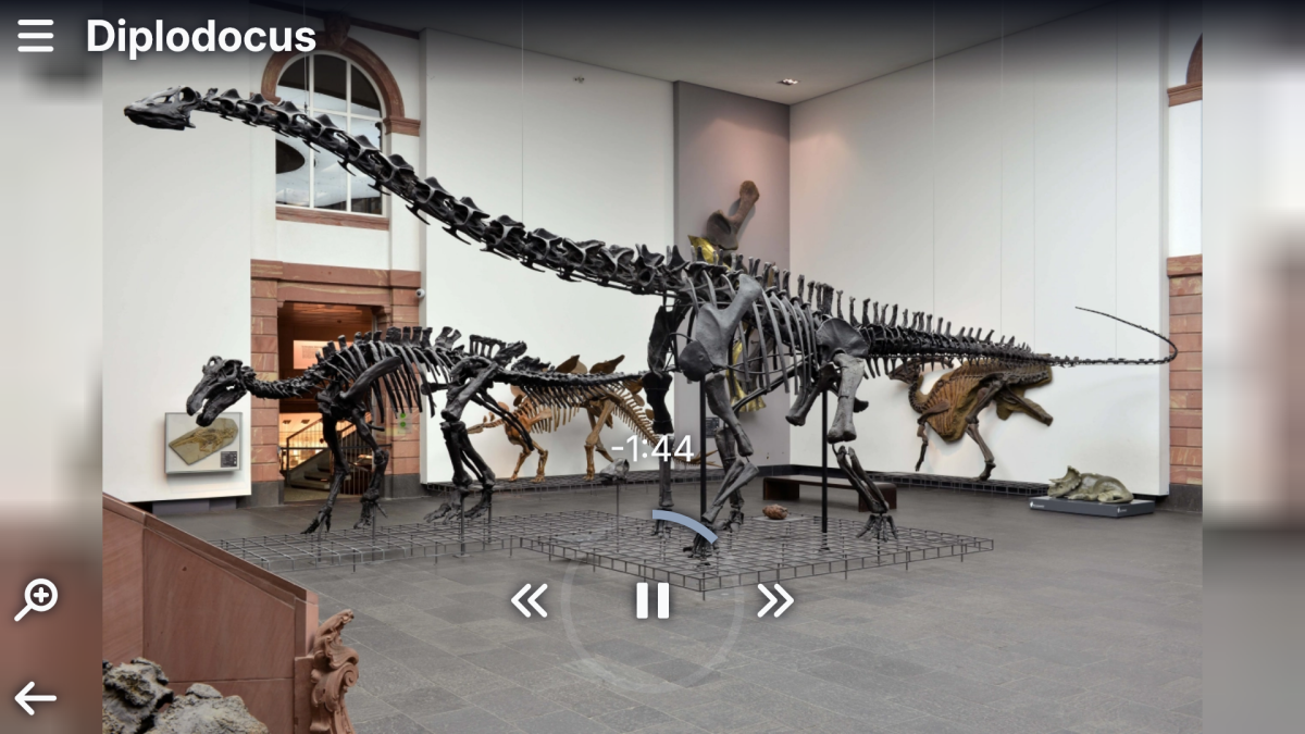 Audiobeitrag Senckenberg Museum