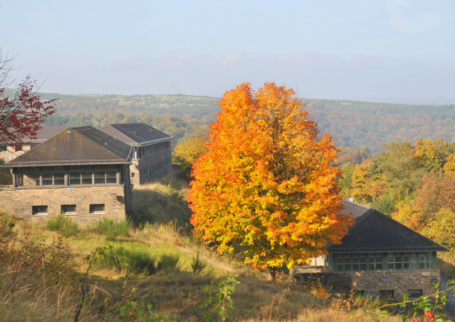 Herbst Herbst