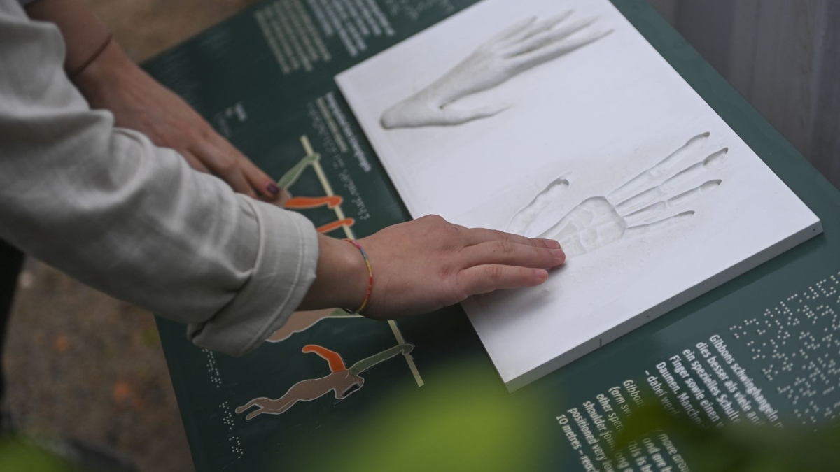 Touch station in use