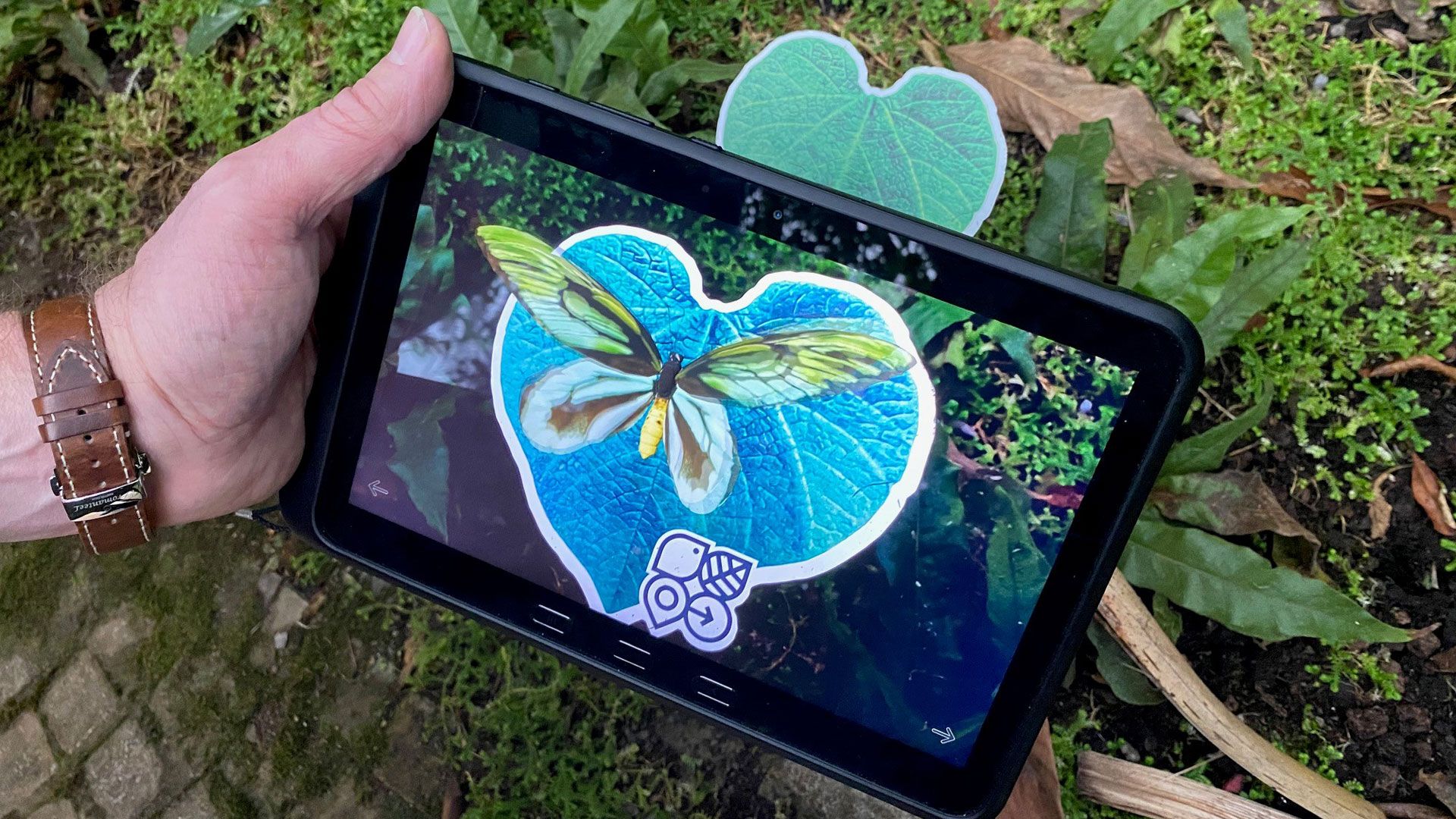 AR in use