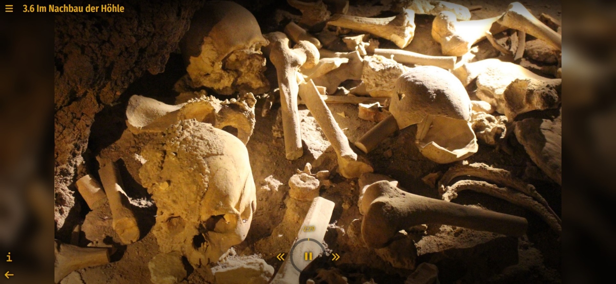 A contribution picture with old skulls and bones