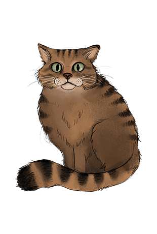 Illustration