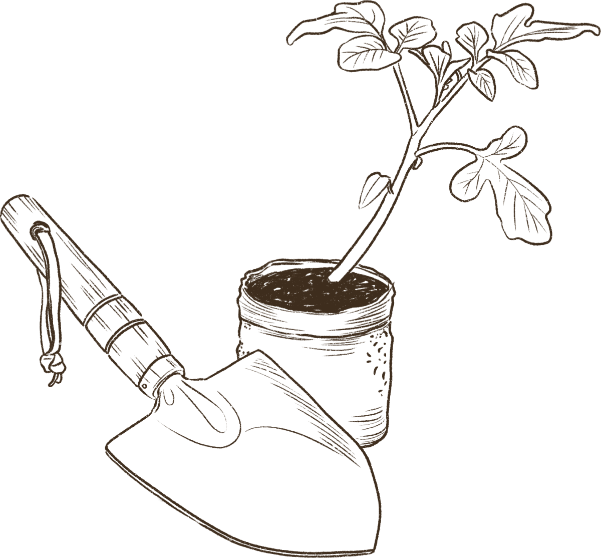 Illustration