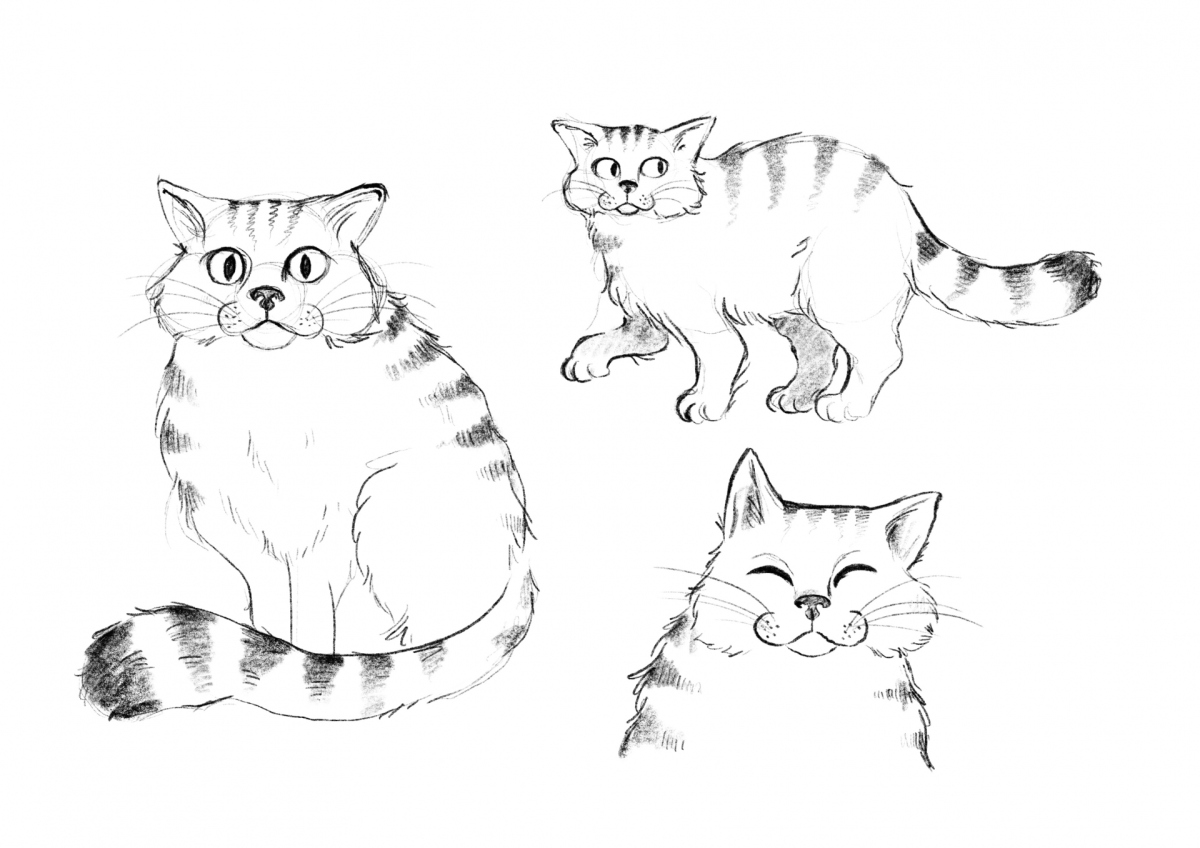 Sketches