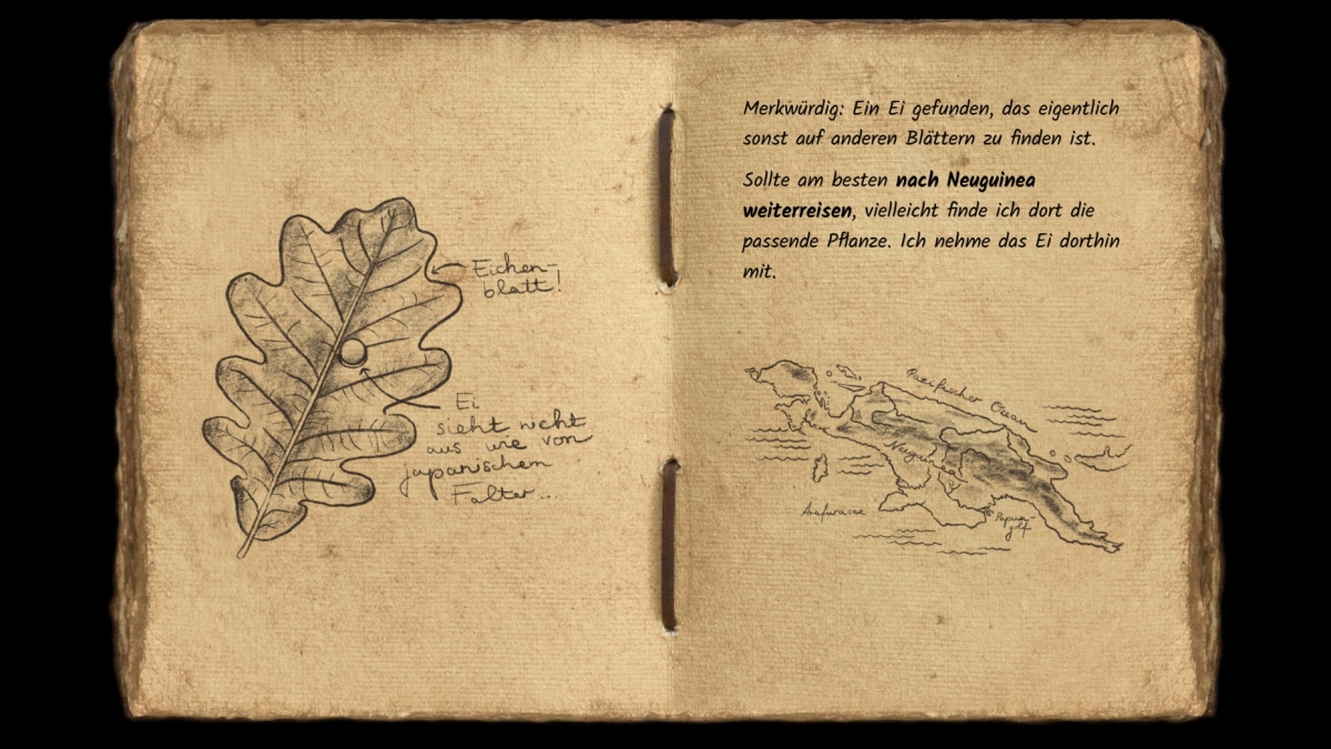 Notebook from Lucia