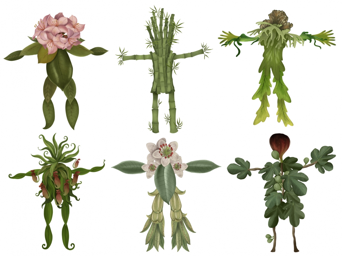 Plant man